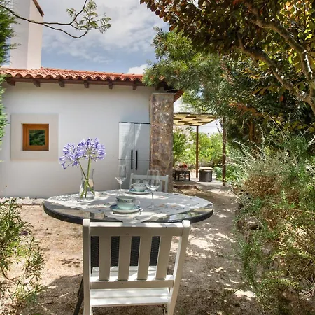 D'olivia Lovely Homes Gospodarstwo agroturystyczne Cela (Leira)